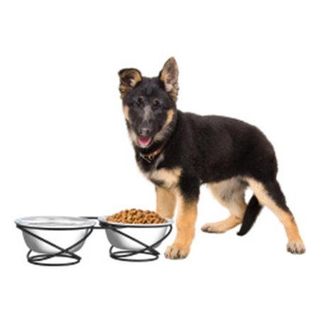 JUNKIEDROGADICTO Stainless Steel Raised Food & Water Bowls with Decorative 3.5 in. Tall Stand JU2046531